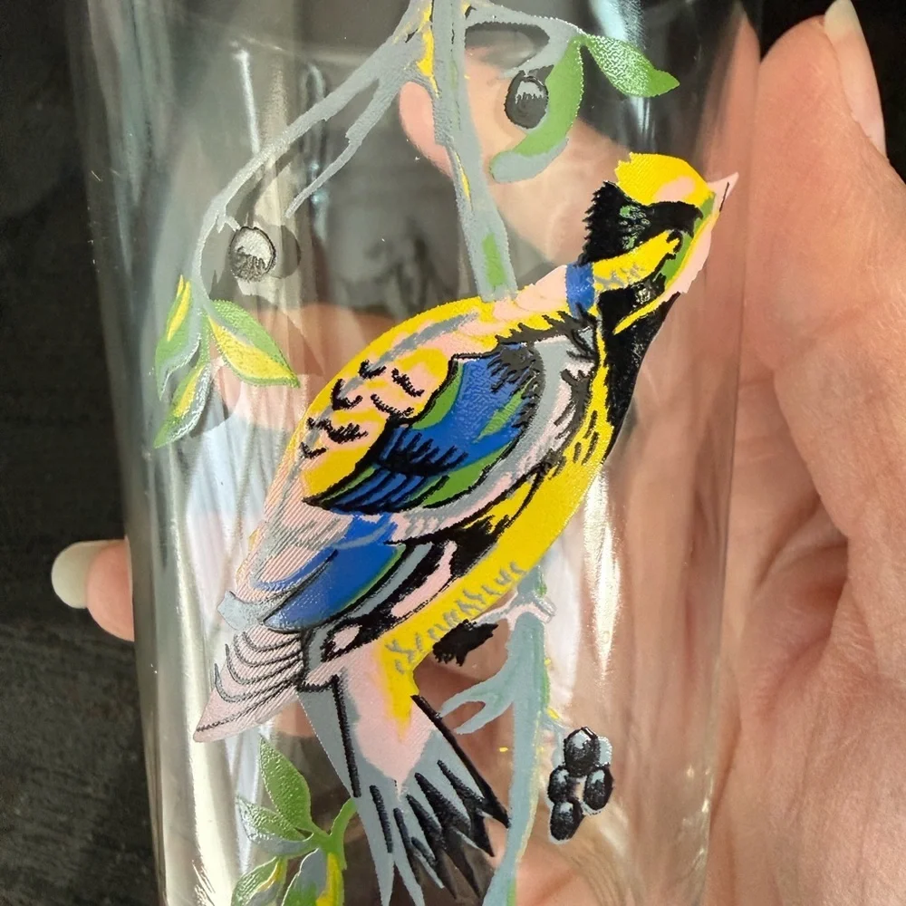 Vtg KIG Exotic Tropical Bird Glasses Tumblers MCM Barware Boho Tiki Kitschy